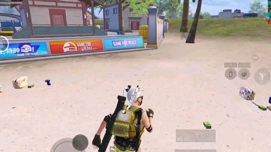 和平精英模拟器《ACE》内部辅助上架